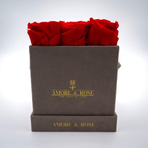 Perla Velvet - Square Box x 9 Red Roses (10)