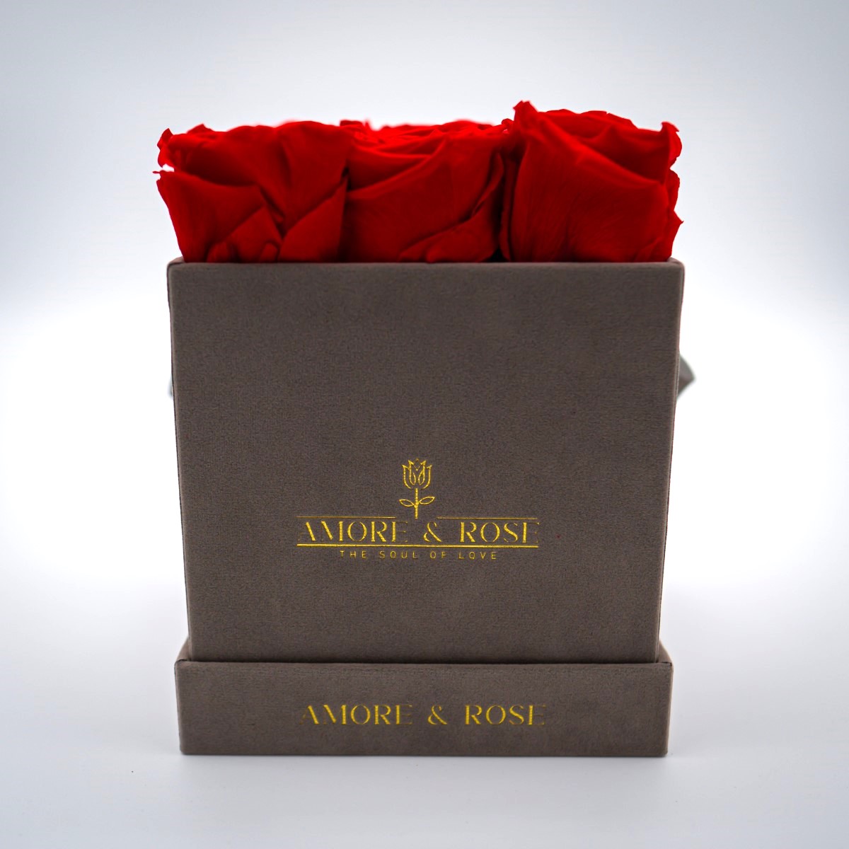 Perla Velvet - Square Box x 9 Red Roses (10)