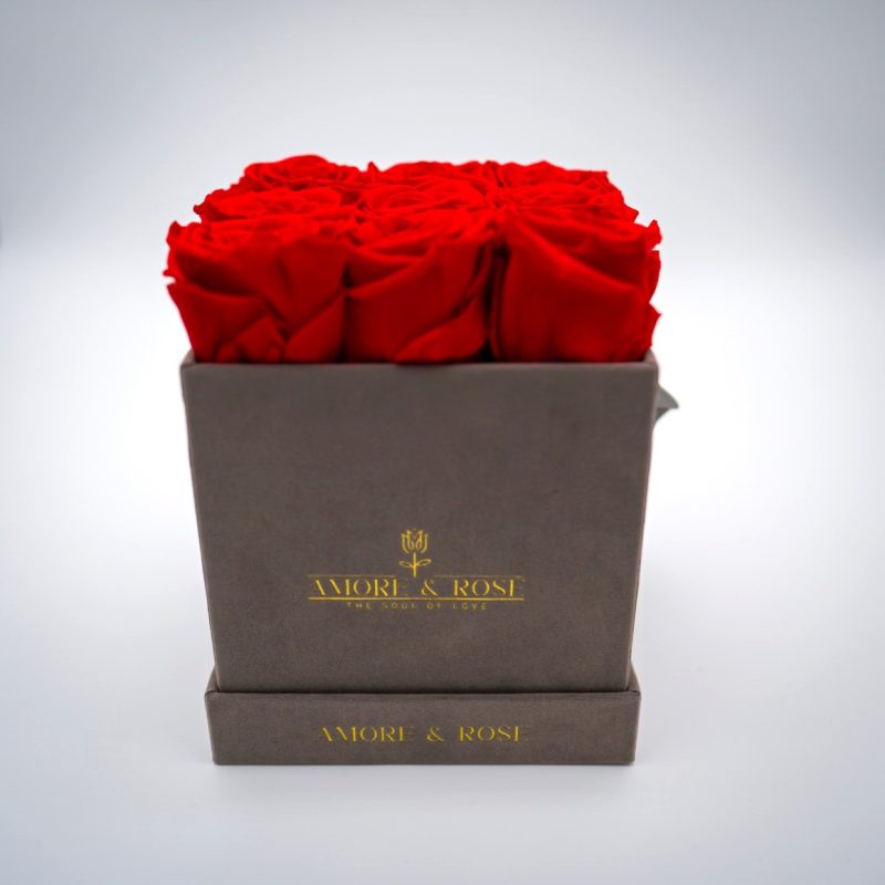Perla Velvet - Square Box x 9 Red Roses (12)