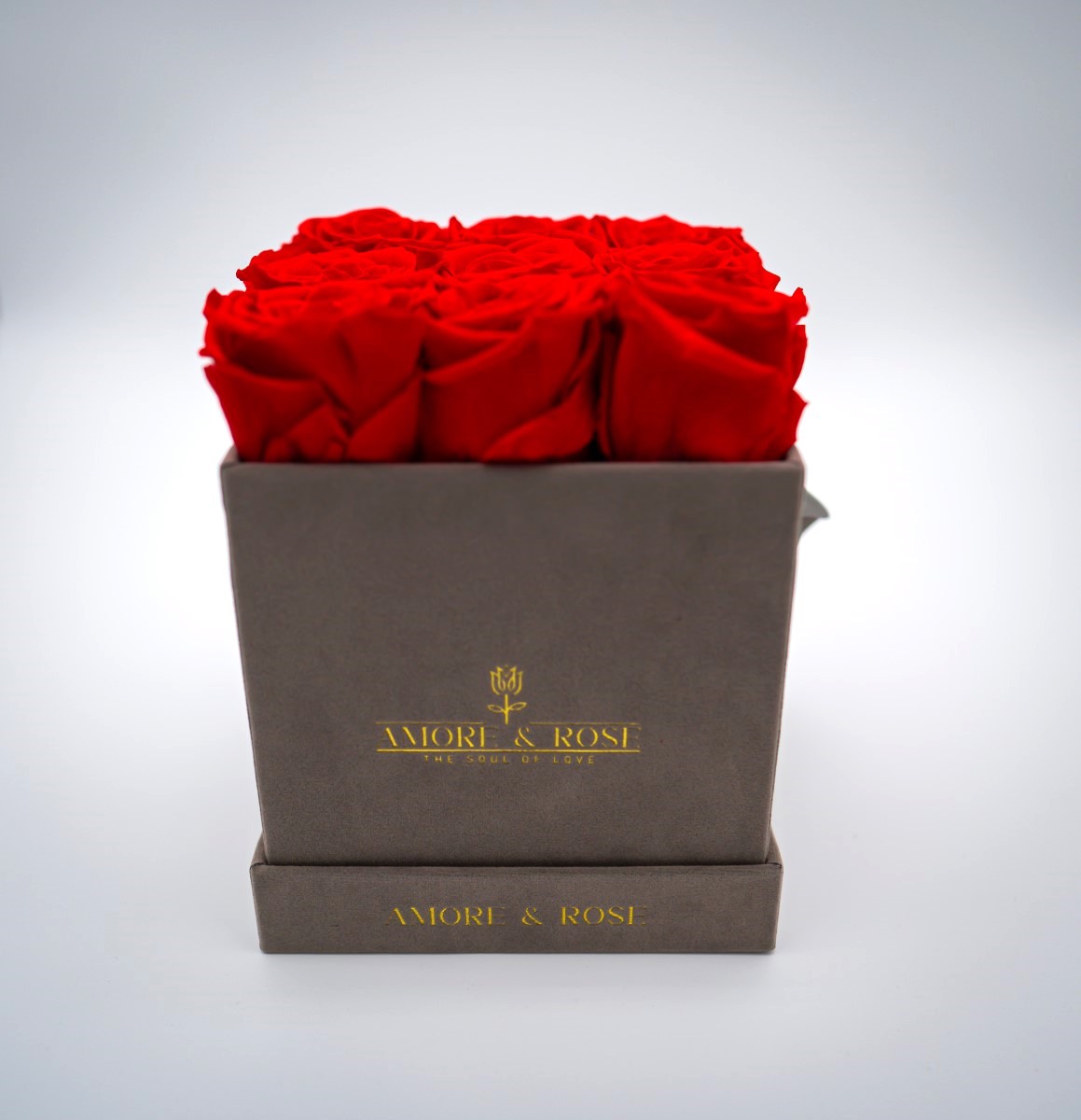 Perla Velvet - Square Box x 9 Red Roses (12)