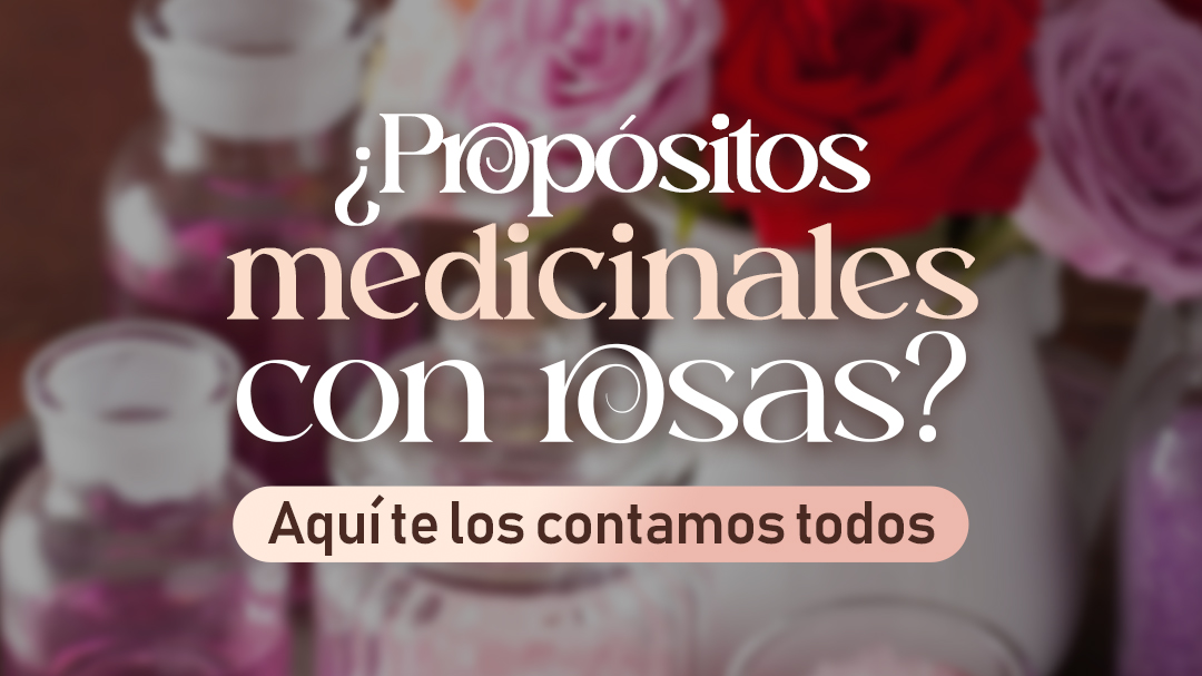 Medicinal purposes with roses: Discover all their benefits